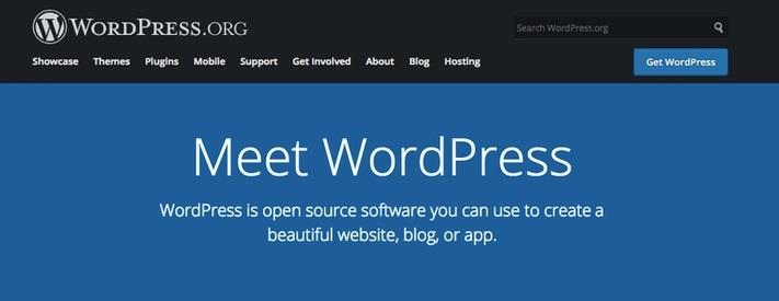 cách tạo khởi chạy trang web của bạn với WordPress