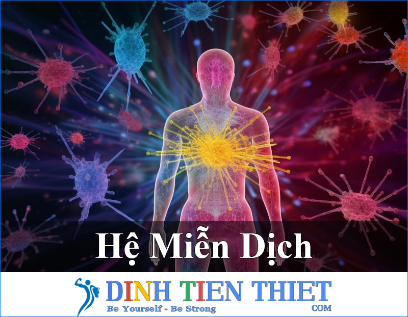 he mien dich